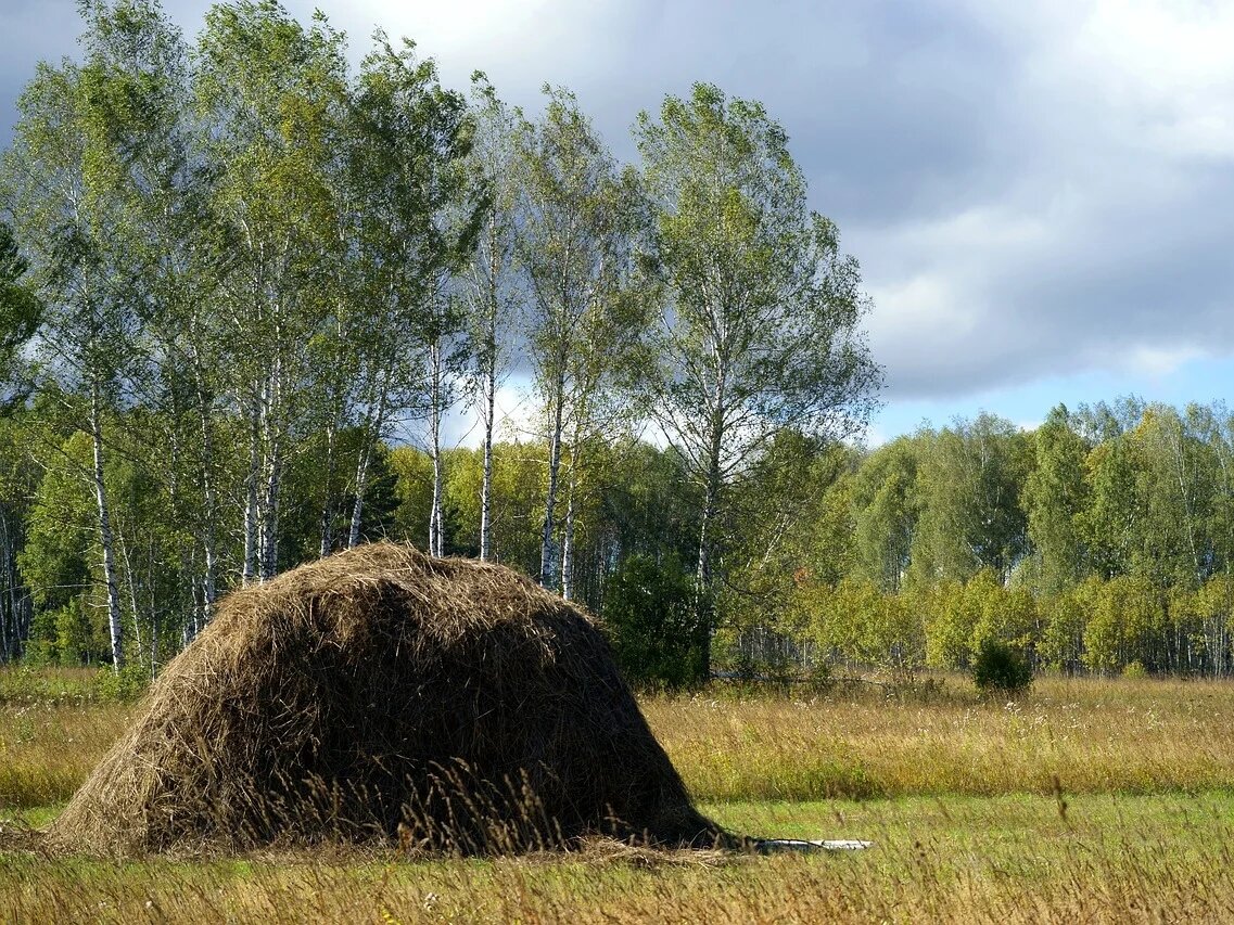 Фото: pixabay.com