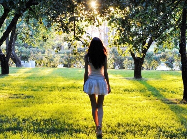 Яндекс-картинки