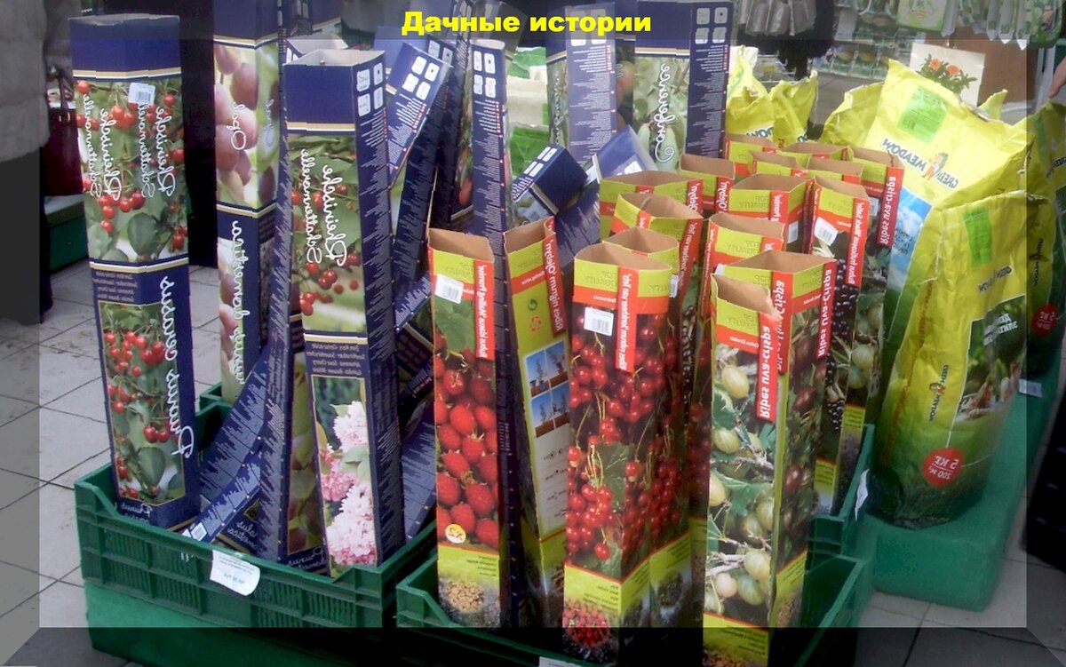https://vk.com/photo-159774511_457251480