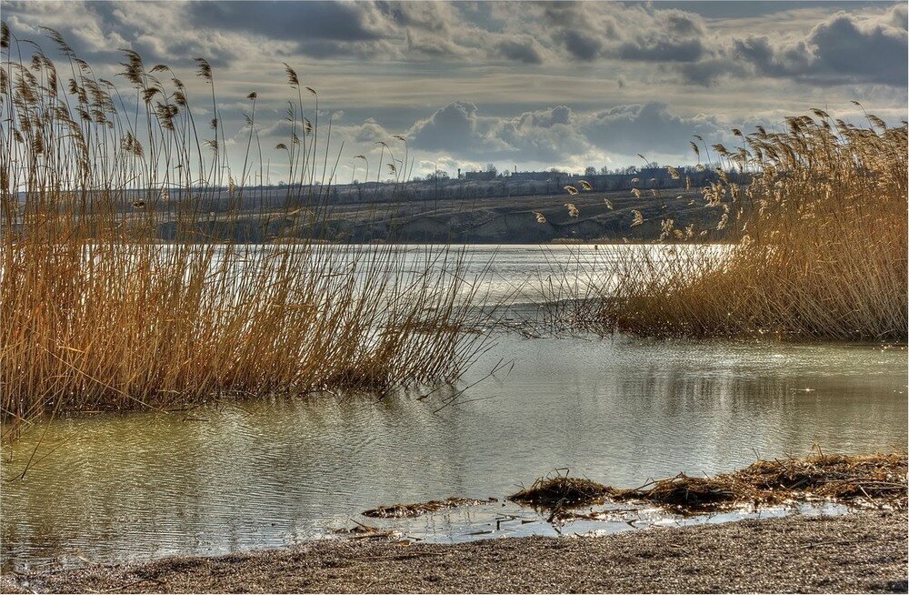 Фото из открытого источника.