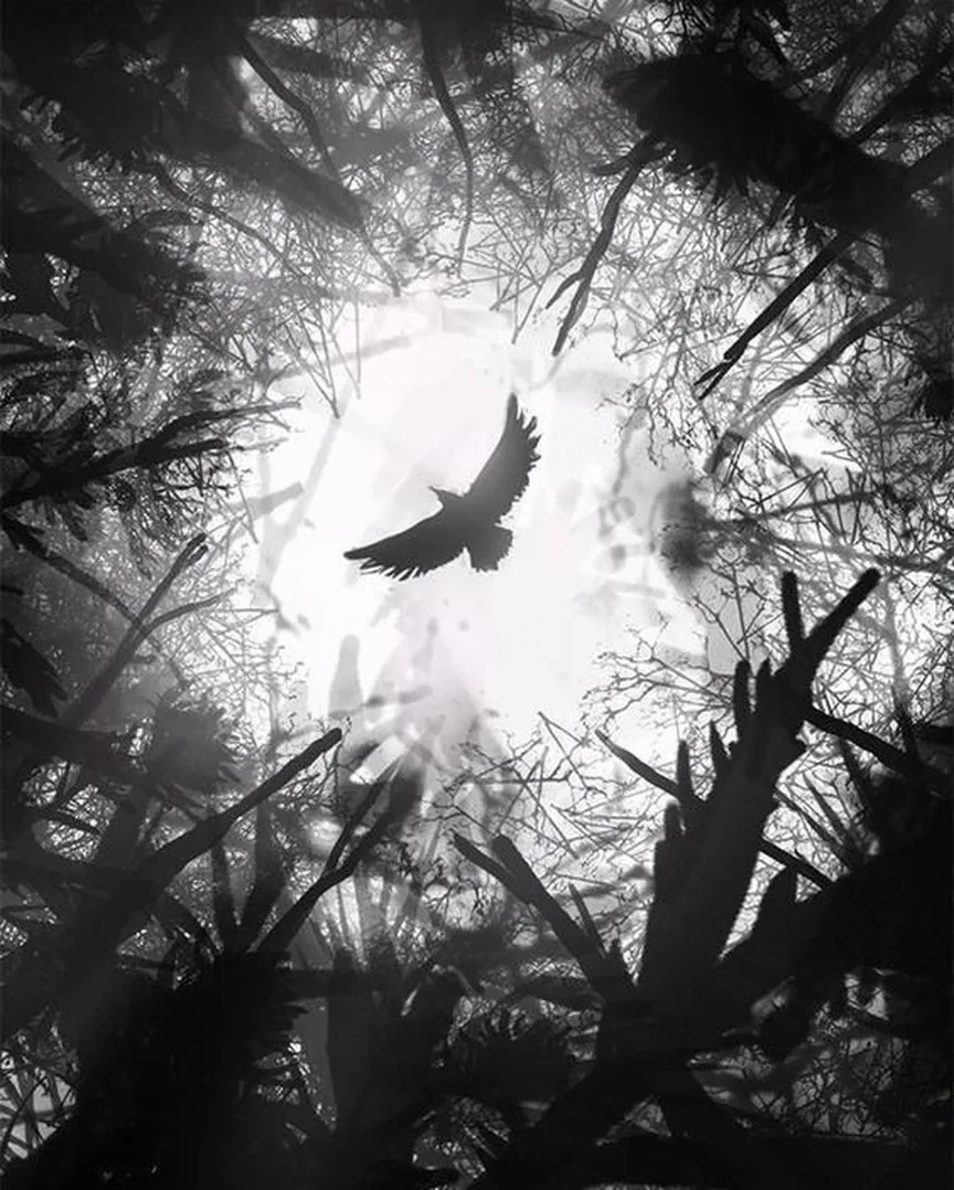 Фото из открытого источника на яндексе.https://im0-tub-ru.yandex.net/i?id=394710df91c0cfe261fbce720a540ef5-l&ref=rim&n=13&w=864&h=1078