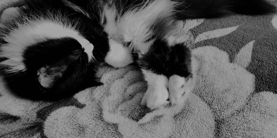 Мастер изготовления физических тел