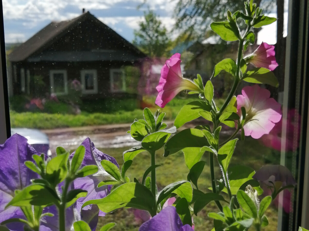 Село Быковка. Фото Ольги Брезгиной