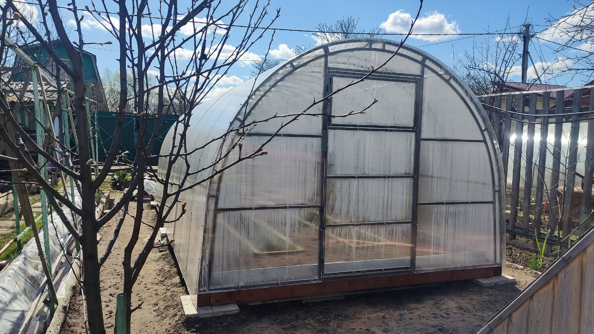 Теплица 6 на 3 метров, с двойными дугами, поликарбонат толщиной 5 мм.