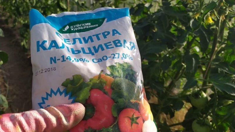 Кальциевая селитра для томатов