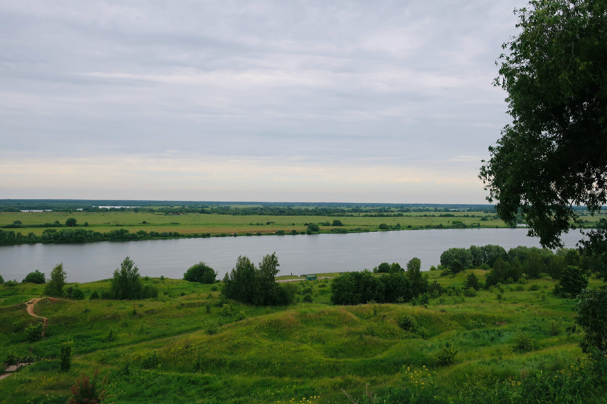 Село Константиново черемуха