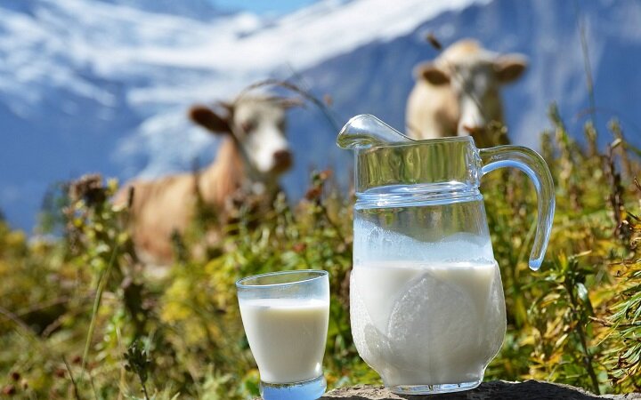 Почему молоко сворачивается при кипячении?