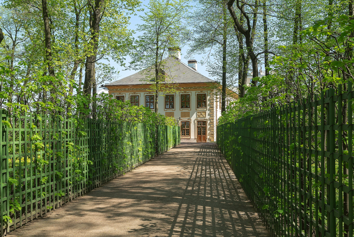 Фото Александра Дроздова