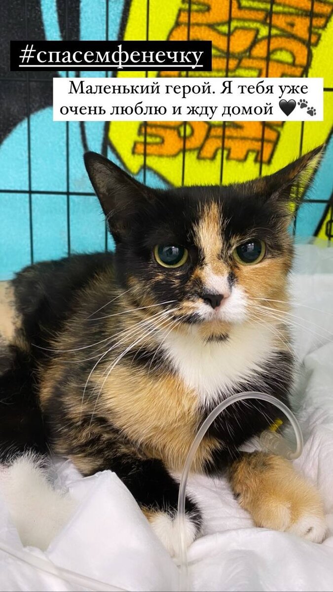 История из аккаунта Леры