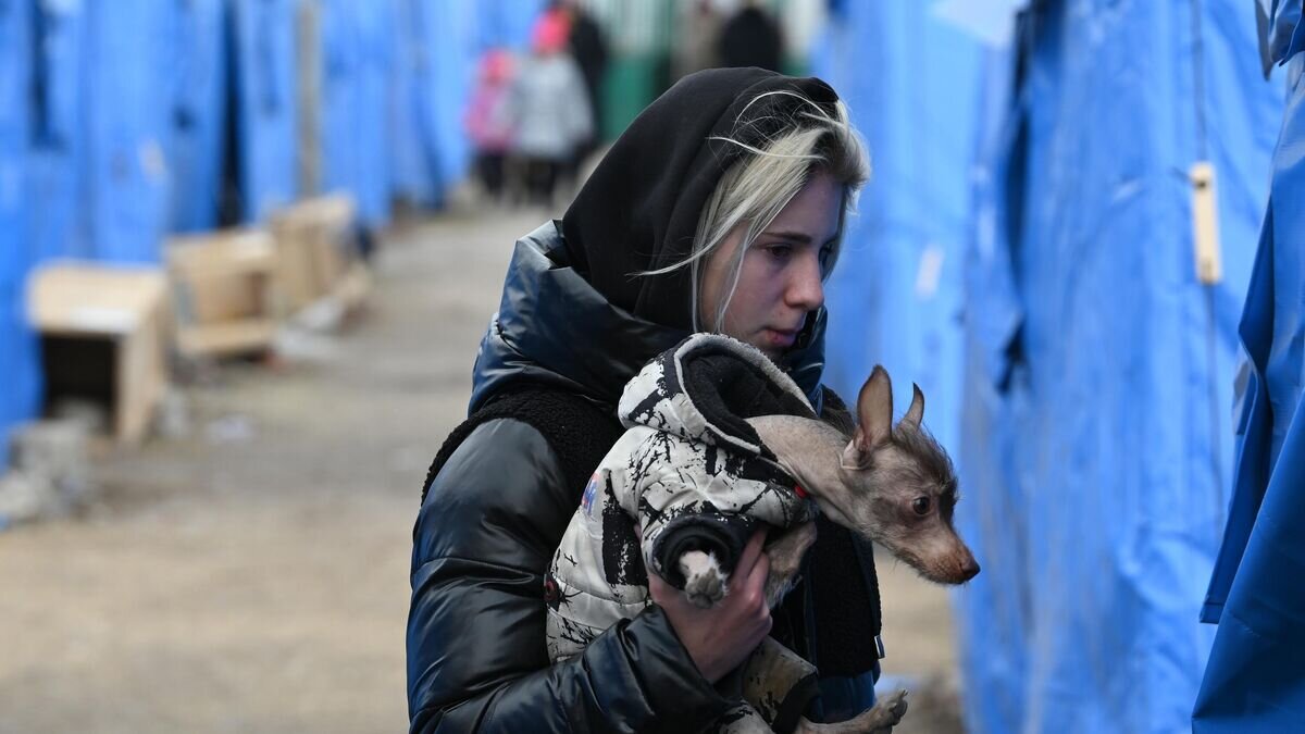    Девушка с собачкой в пункте временного размещения беженцев из Мариуполя, организованном МЧС ДНР в селе Безыменное© РИА Новости . Максим Блинов