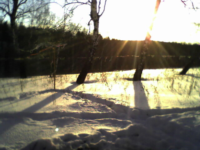 На капище под Томском