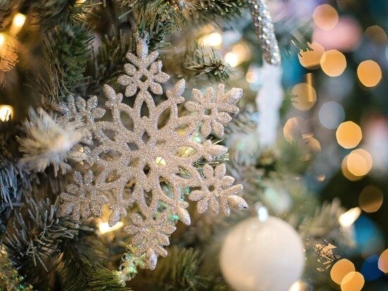     фото: pixabay.com