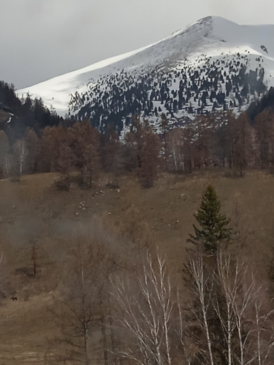 Просто поехать на прогулку с мужем