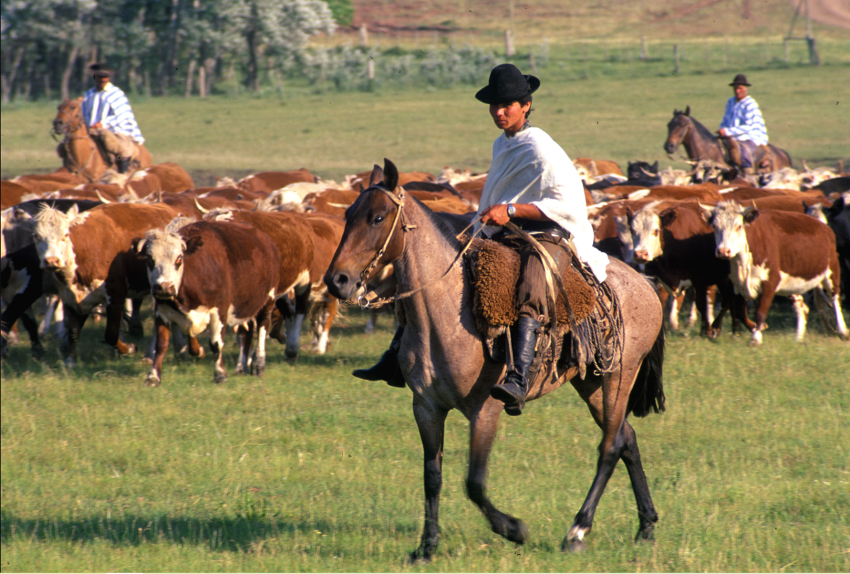 Фото из открытых источников. 