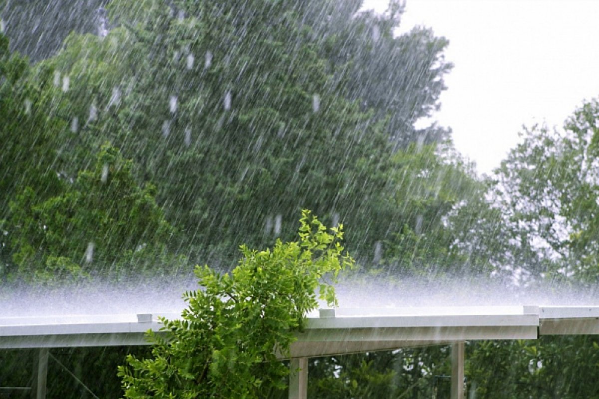    На Кубани сохранится неустойчивая погода, но воздух скоро прогреется до +26