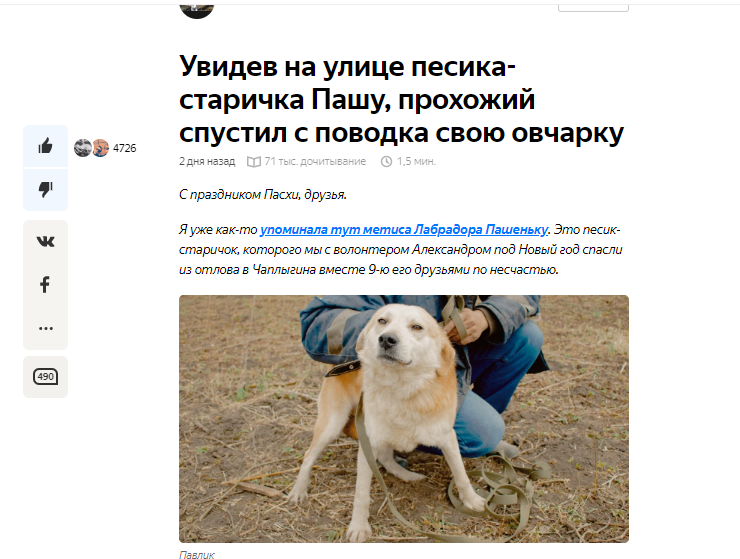 Скриншот статьи