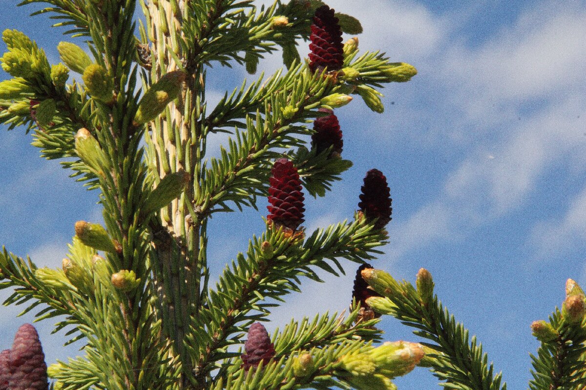 Мне кажется класно получилось))).