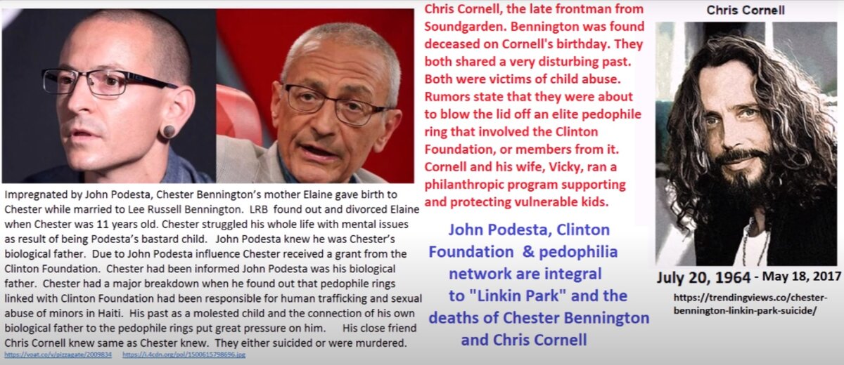 Фото из открытых источников Яндекс