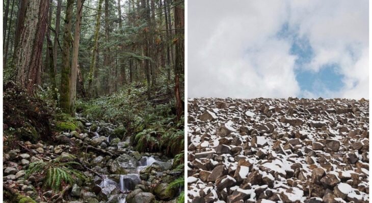 Фотоматериал: @andrewknapp