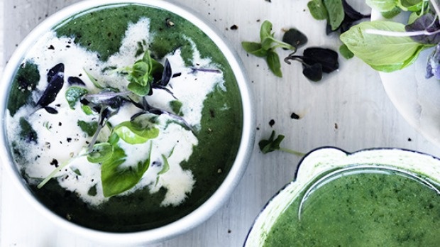 
 зеленый суп готовят из зеленых овощей и свежих трав.