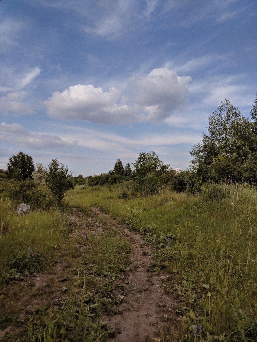 Июль, 2018 год