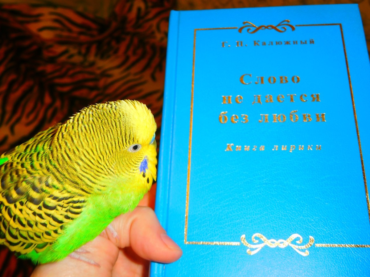 Мы уже давно все изучили и прочитали ) И посуду перемыли и друг друга перецеловали ))) 