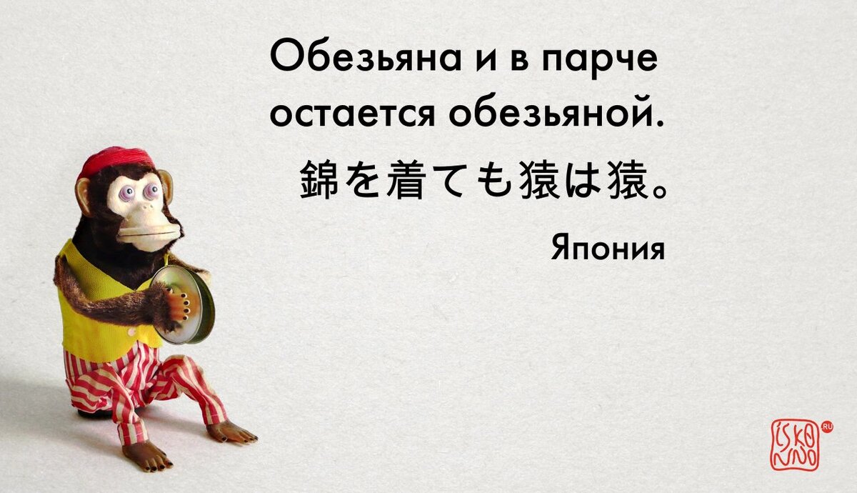 Пословица в виде картинки
