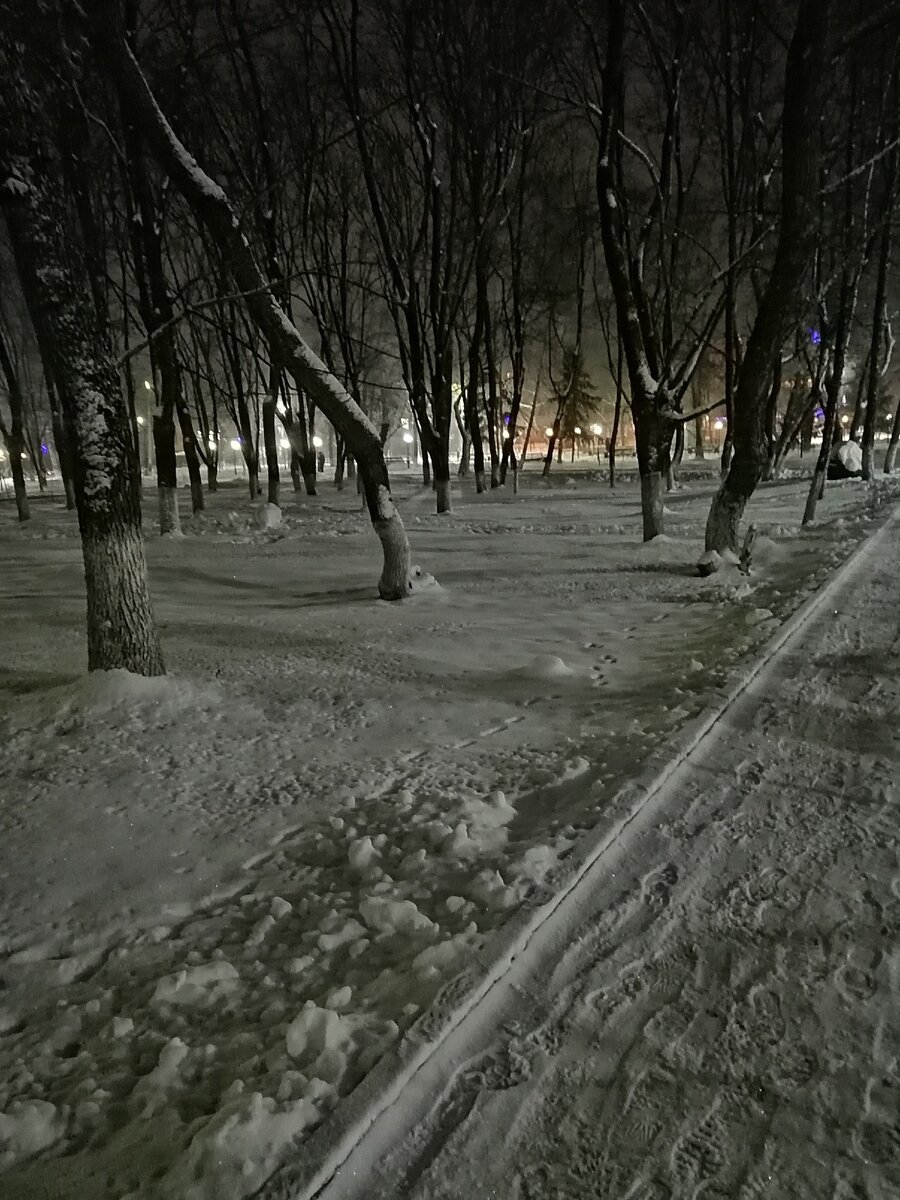 Наш зимний парк. Фото автора.
