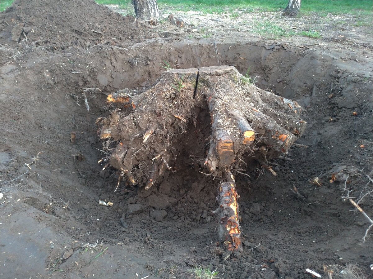 Через 4 часа возни с лопатой и топором.