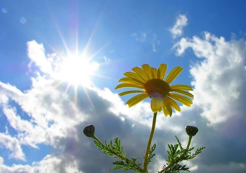 Фото — yandex.ru