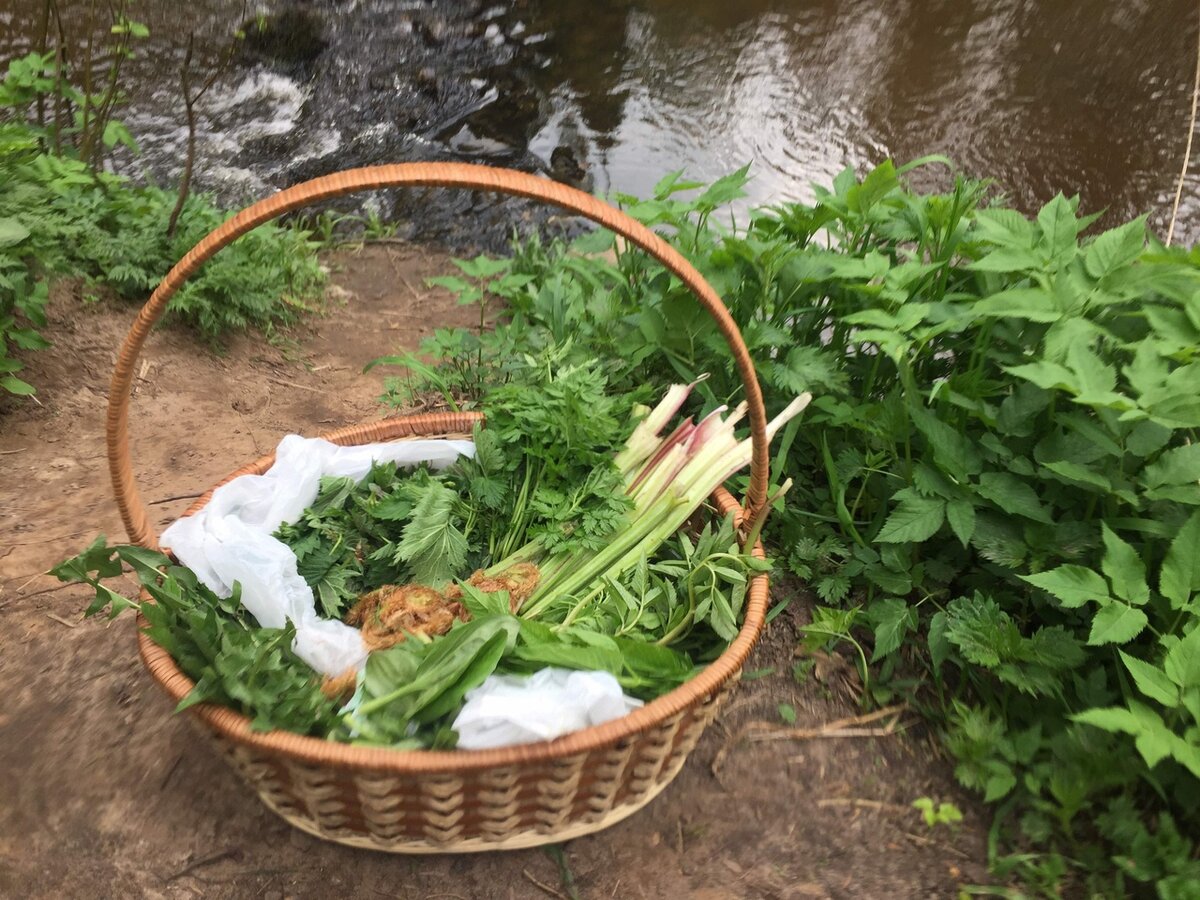 Все гениальное ВКУСНО!!!    ВИТАМИНИМСЯ И ОЗДОРАВЛИВАЕМСЯ! Чистим, кровь, сосуды. Оздоравливаем  печень, ЖКТ, моче-половую систему и суставы. 