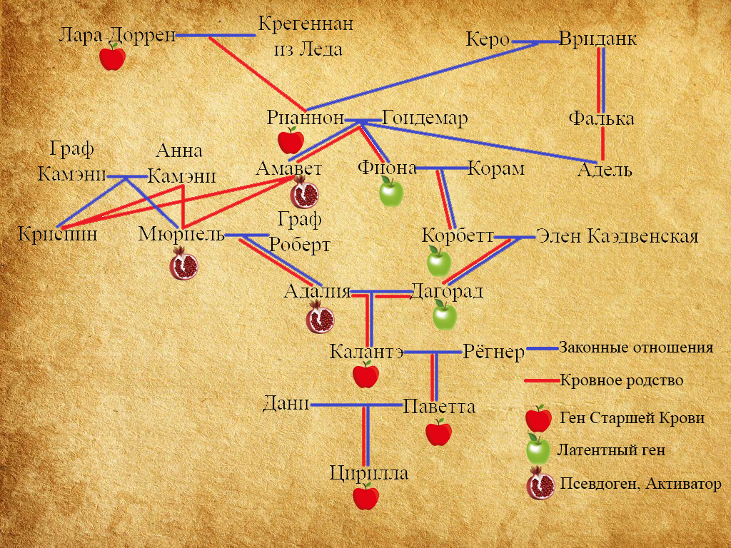Сложное генеалогическое древо Цири