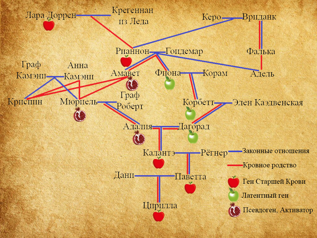 Проклятие хронология. Семейное Древо Ведьмак. Родословная Цири. Древо старшей крови Ведьмак. Древо Лары Доррен.