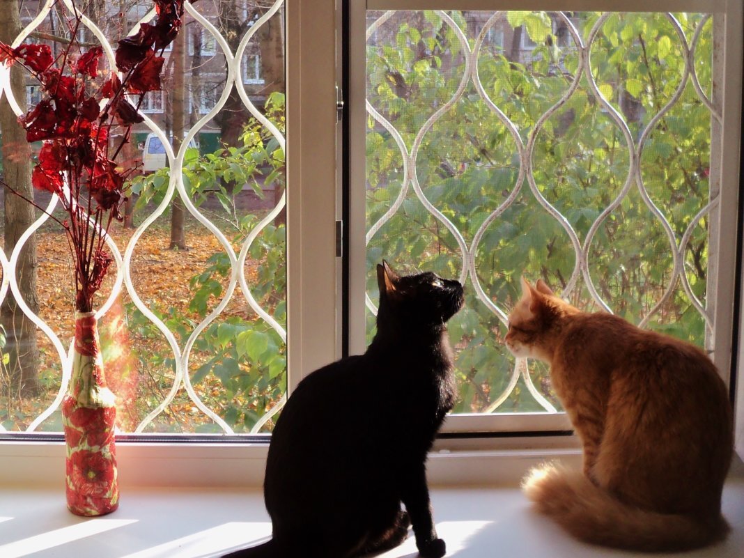 Источник: Яндекс.Картинки