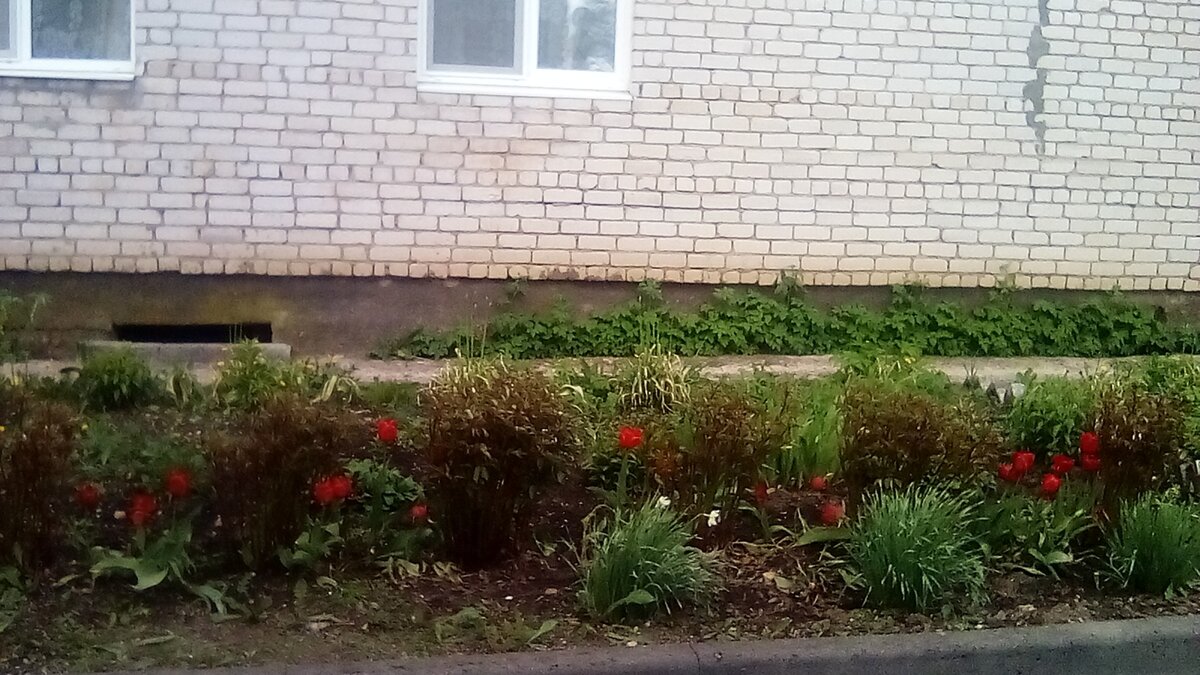 У подъезда на Советской.