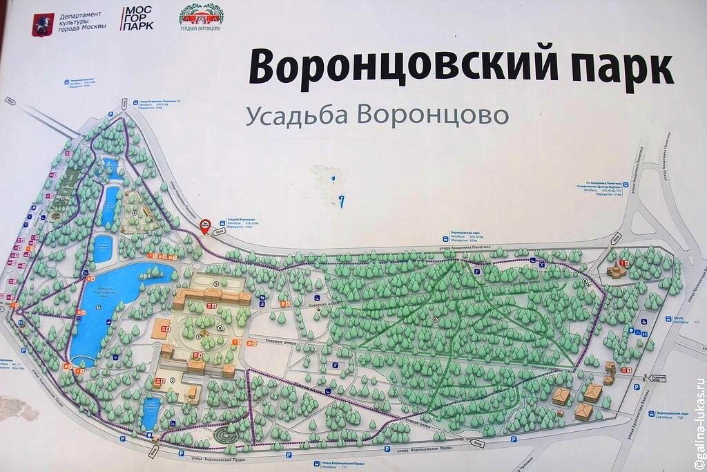 Карта воронцовский дворец