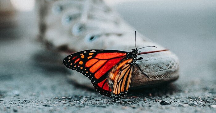 Источник: https://upliftconnect.com/wp-content/uploads/2020/02/ChangingBeliefsChangesWorldAroundYou1.jpg