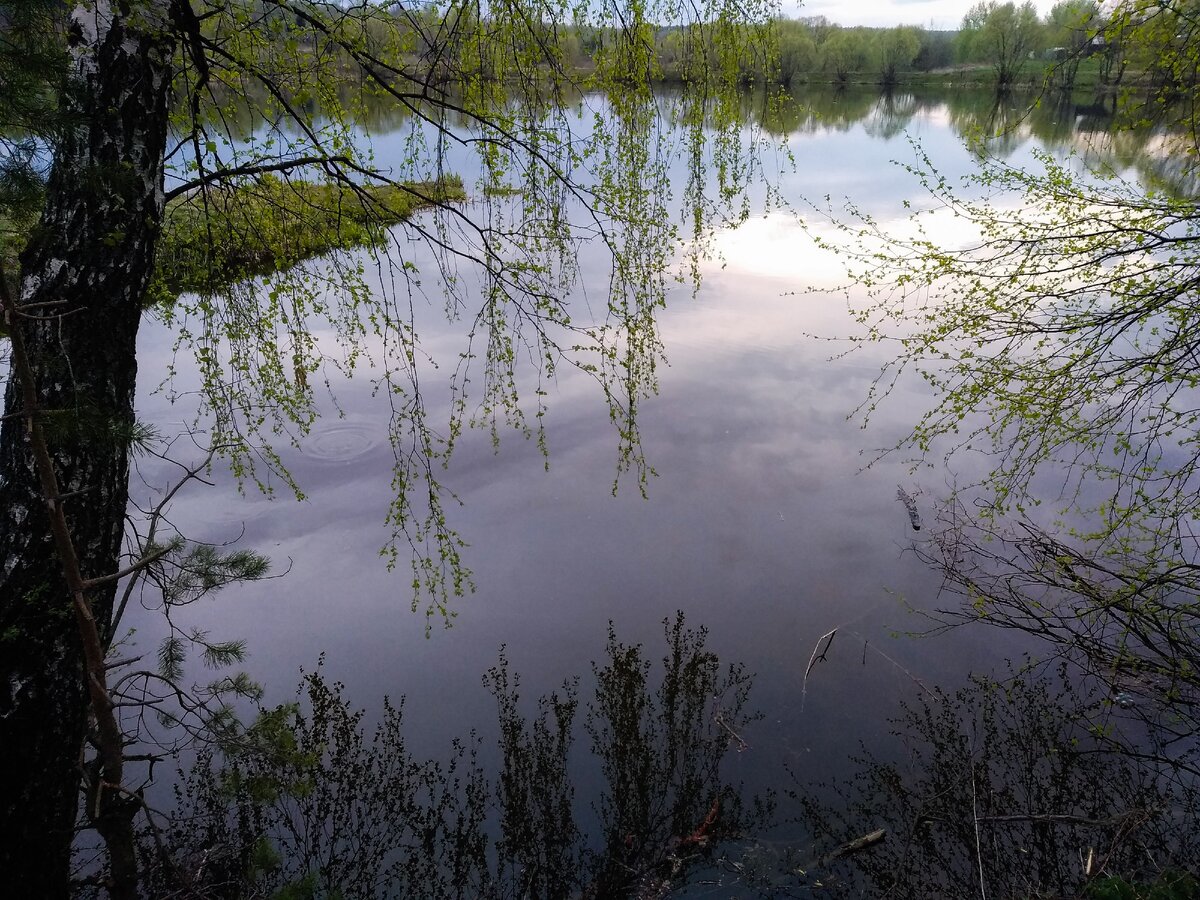 Фото автора.