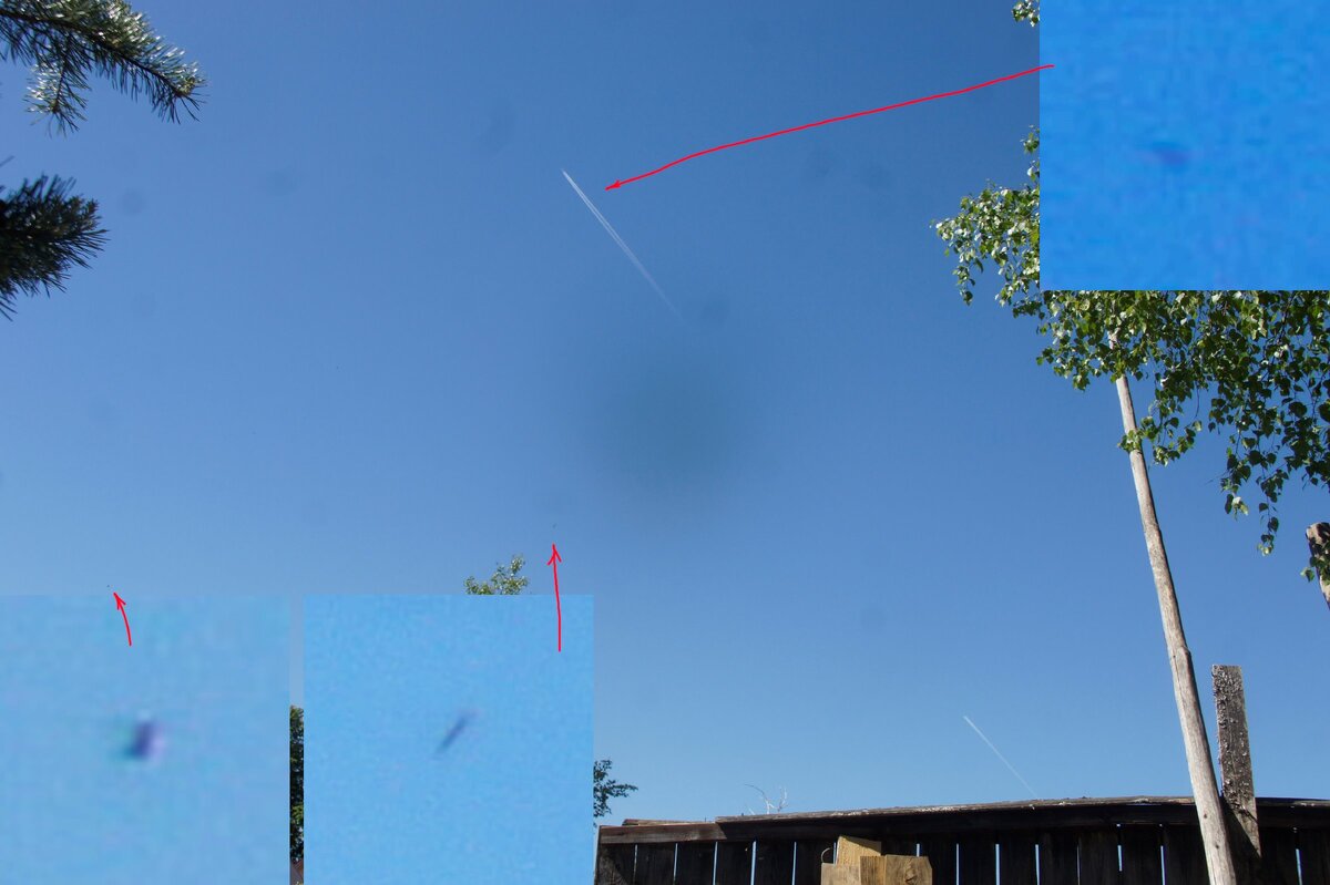 Завидовский Государственный заповедник   29.05. 2018