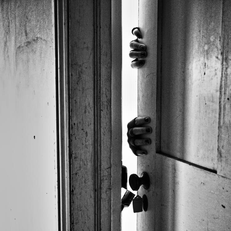 Фото: pexels