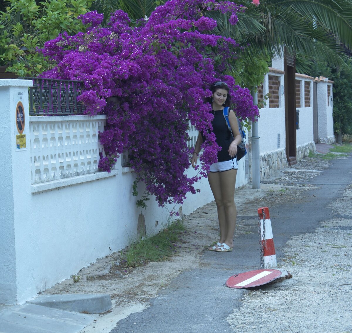 ваш скромный автор и бугенвиллия.