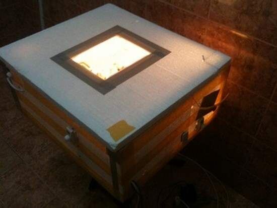 Рис.1. Инкубатор из пенопласта