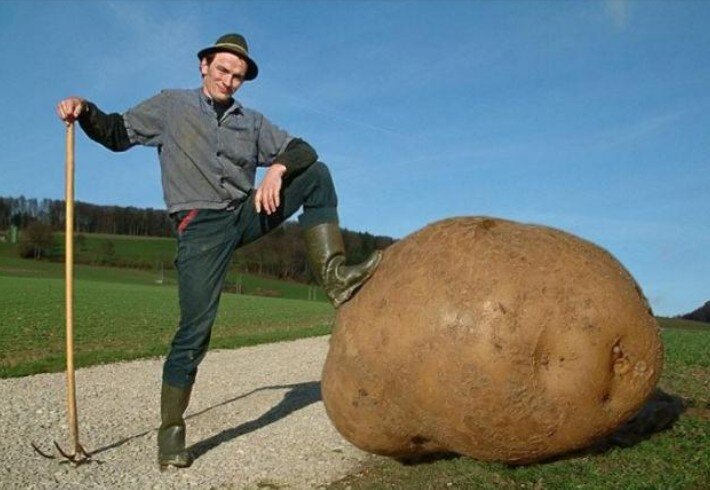 Тёплая земля - быстрый рост.