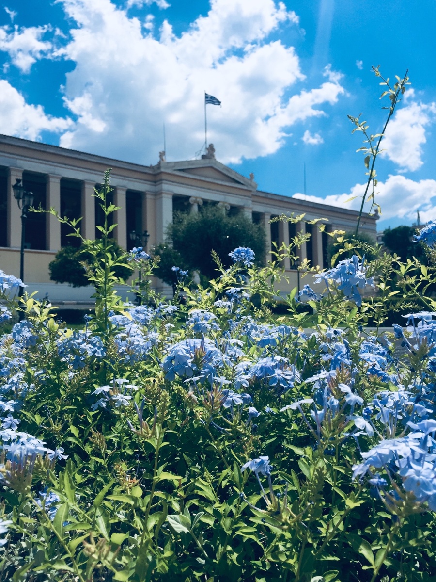 Фото взято с фотостока