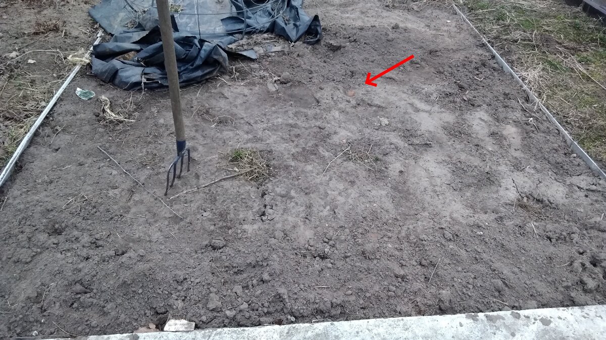 Начала цветник делать...