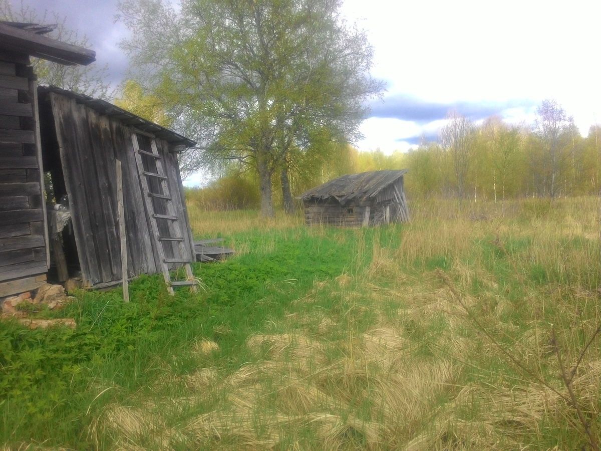 Старая банька стоит в той деревне