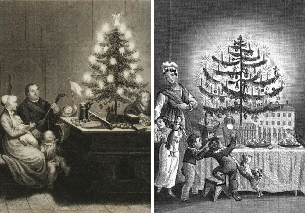 Когда и почему ель стала символом Рождества?