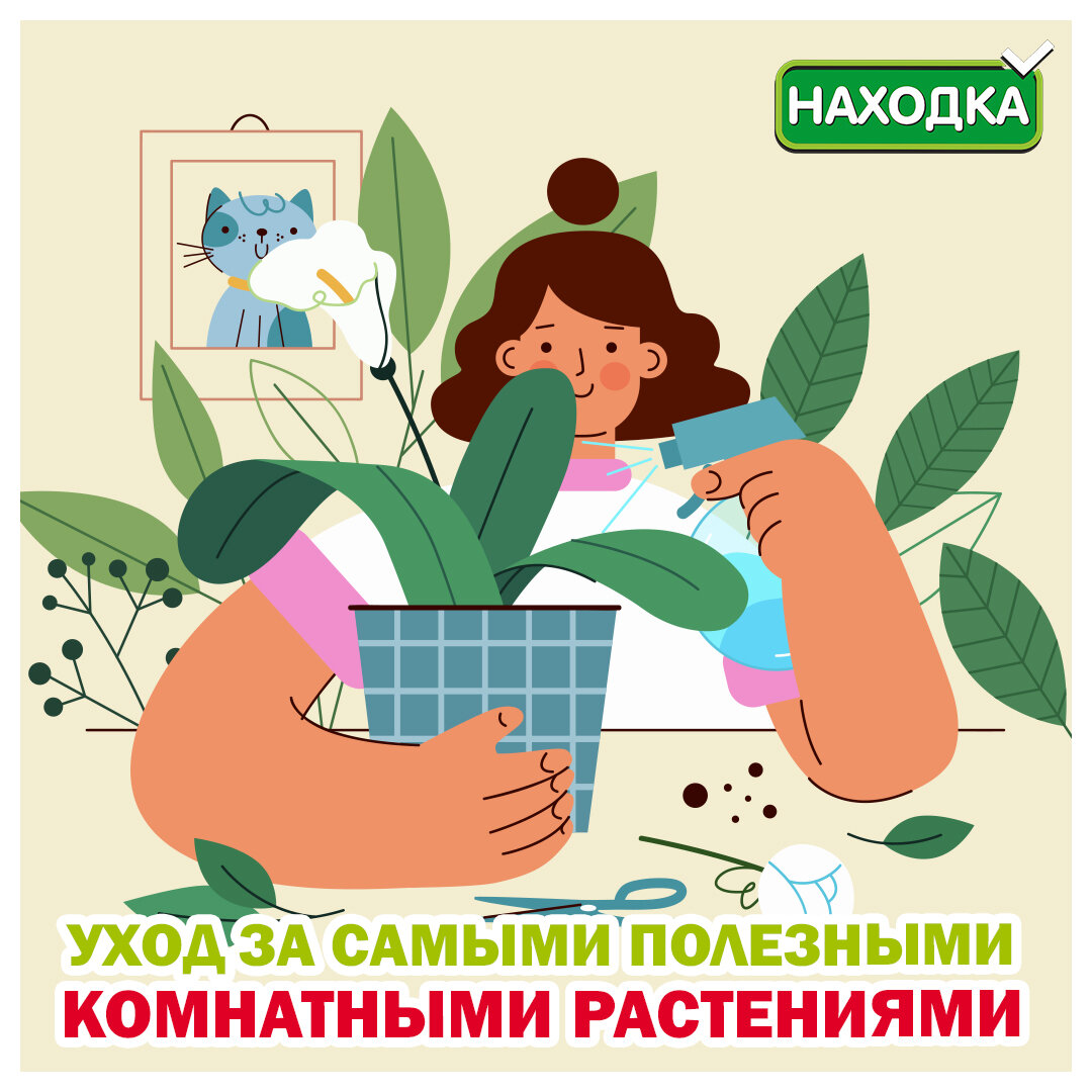 На прошлой неделе мы выбрали 5 самых полезных домашних растения и рассказали вам о их свойствах. Сегодня же мы поговорим об уходе за ними.🌺