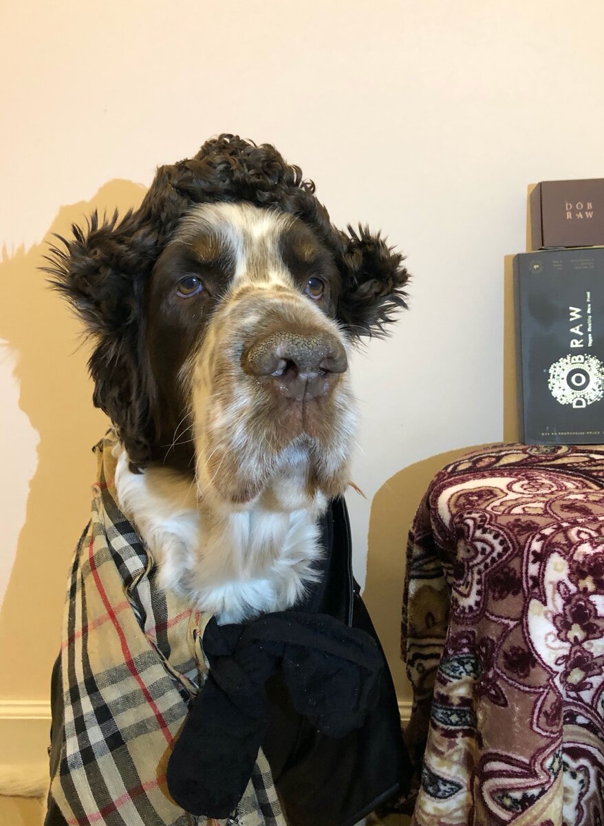 Портрет, хорош я тут! 