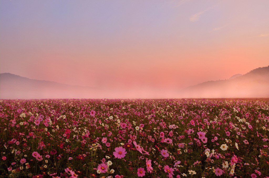 ТВОЙ ГОРОСКОП ✨